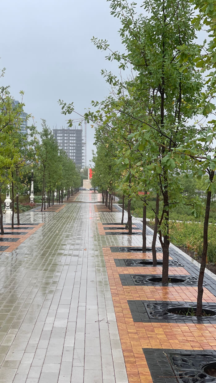 Приствольная решетка для дерева ZKING CRUST 1.2х1.2м Черная в Павловском Посаде фото