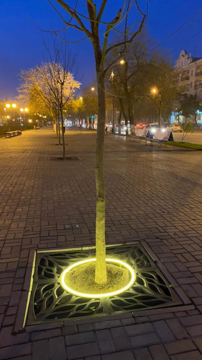 Приствольная решетка для дерева ZKING CRUST 1.2х1.2м Черная в Павловском Посаде фото